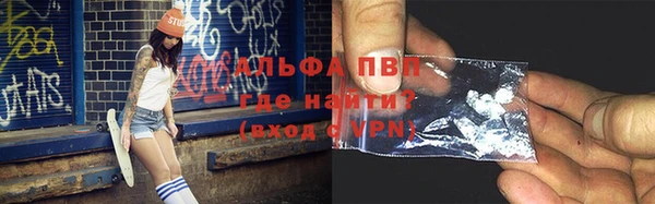 прущие грибы Аркадак