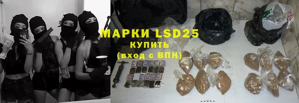 прущие грибы Аркадак