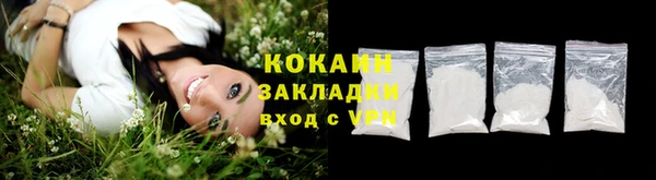 прущие грибы Аркадак