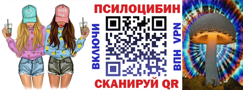 Псилоцибиновые грибы Psilocybe  Полярные Зори 